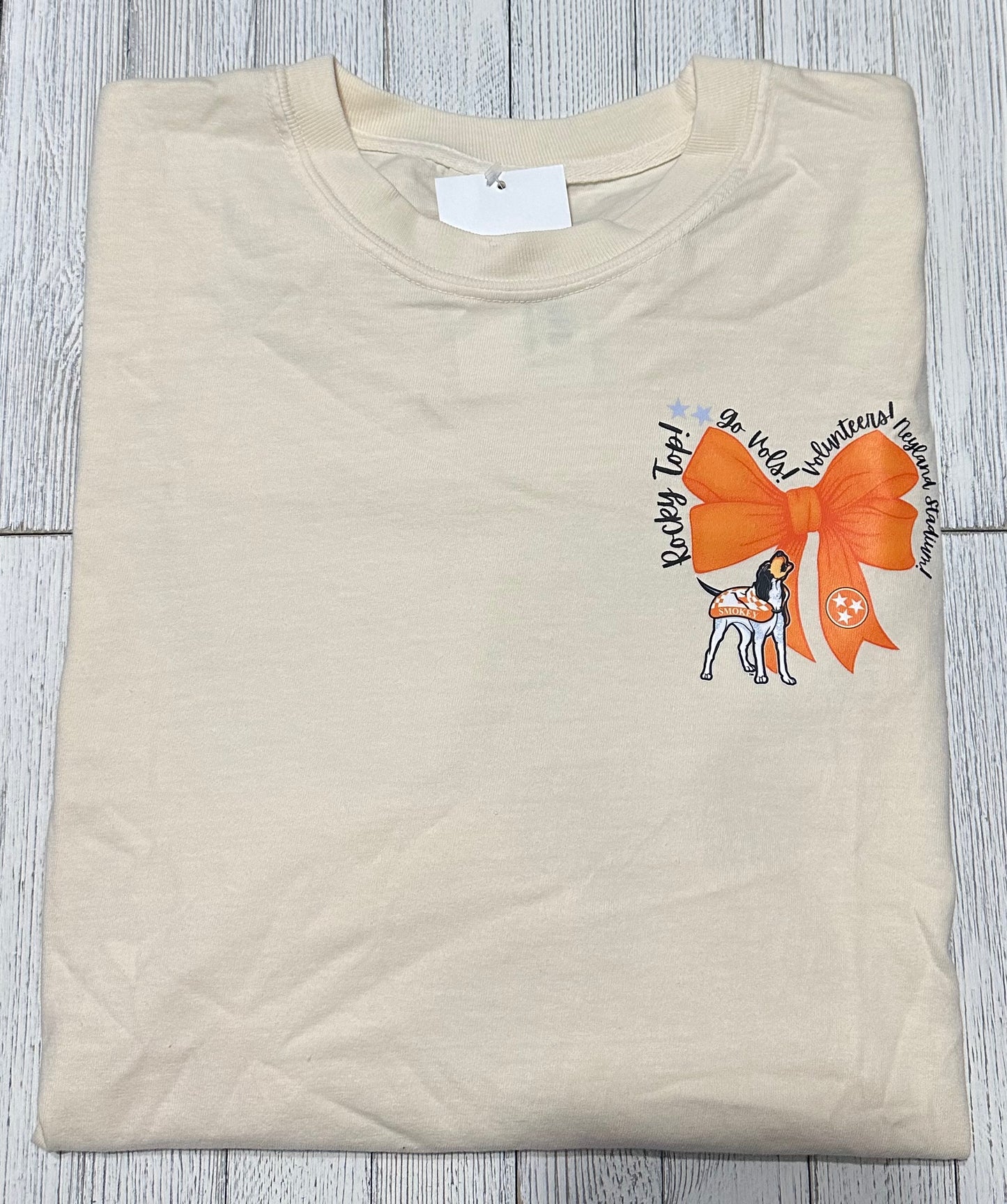 XL Vols Watercolor Stadium Comfort Colors Tee (front & back)